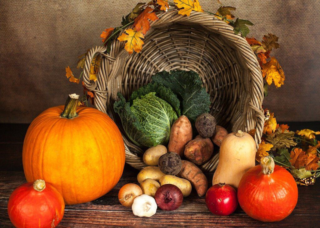 Herbstgemüse schmeckt im Herbst wunderbar in Suppen, wärmenden Mahlzeiten oder auch zu Gerichten kurz vor Halloween