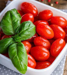 Tomate Basilikum für italienisches Essen