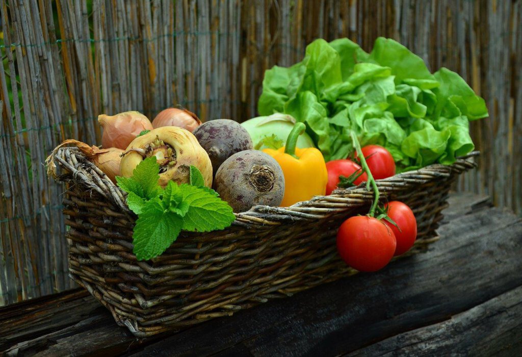 Sommergemüse wie Salat, Tomaten und Paprika sind tolle Zutaten für Gemüse Rezepte