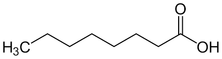 Caprylsäure verursacht die positiven Eigenschaften und die Wirkung von MCT Öl