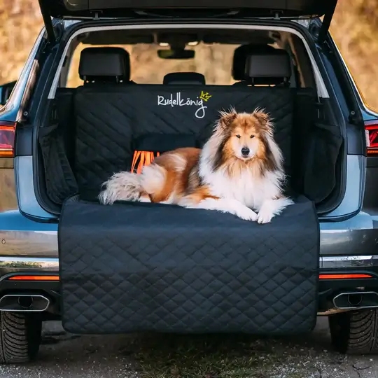 Der Rudelkönig Kofferraumschutz bietet Schutz für Dreck und Schmutz bei Hunden im Auto.